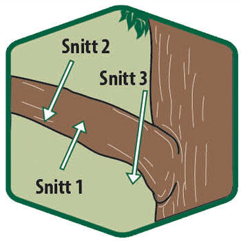 Illustration av snitt från tre olika håll.